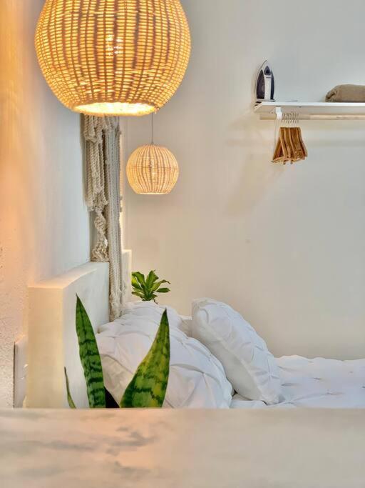Casa Anuiti Centrica Ubicacion. Apartment San Jose del Cabo Luaran gambar